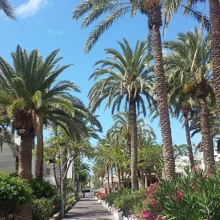 Simple Frontera Primavera Pool In South Tenerife Apartamento Costa Del Silencio